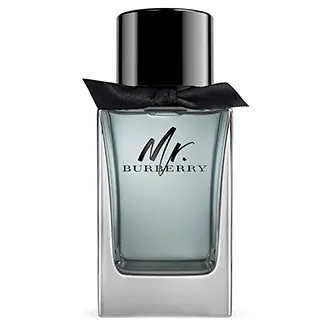 MR.BURBERRY 3.4 OZ EDT FOR MEN